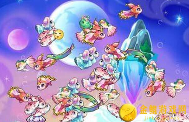 开心水族箱全攻略：记录你的 aquarium 时光，感恩每一步同行