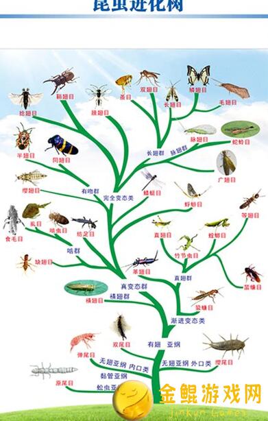 进化之地2全收集攻略：马基篇，15个隐藏角色技能全揭秘！
