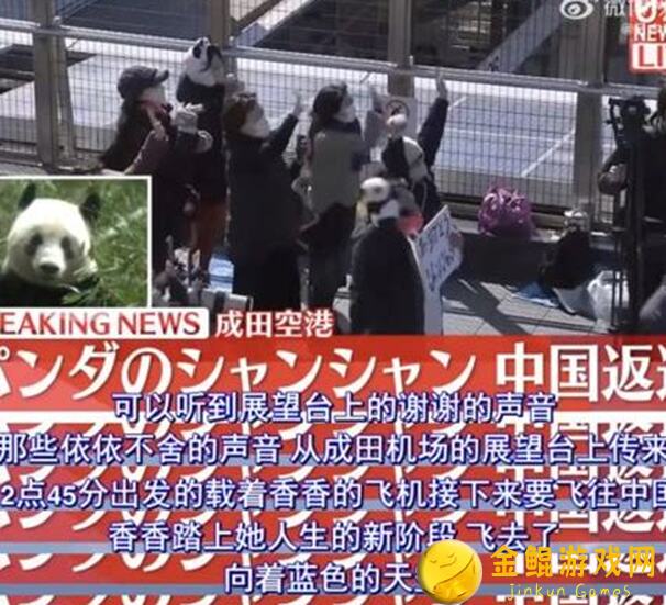 钢岚唯一难点攻关秘籍！教你香香2矛秒杀BOOS，轻松升级不是梦！