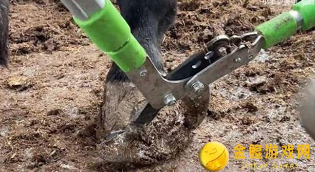 修仙家族模拟器6.4版本丹药攻略：常见丹药合集，助你轻松混修仙界！