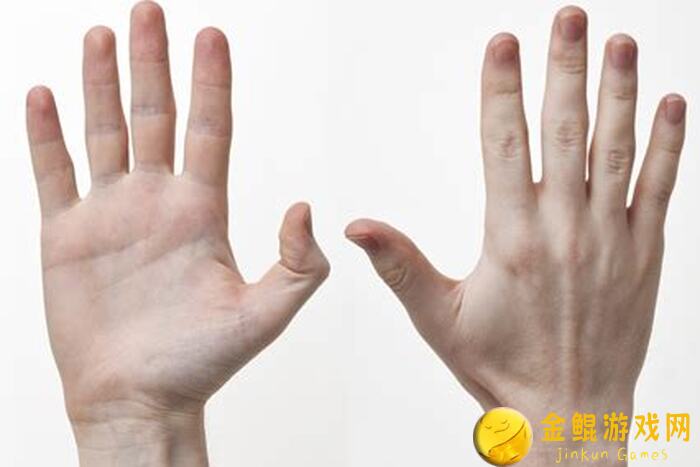 手残党必看！黎明觉醒：生机啤酒鲈鱼煲制作全攻略，学会秒变烹饪高手！