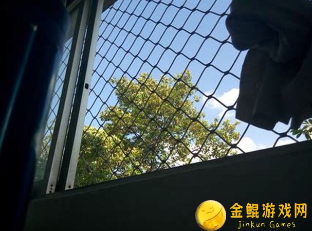 托拉姆物语新手必看！目标装备全解析，轻松提升战力攻略大盘点！