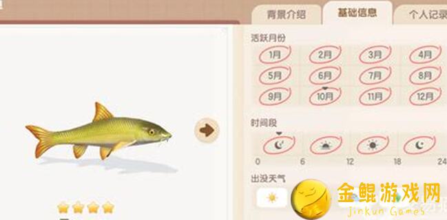 心动小镇付费测试来袭！钓鱼攻略助你轻松上手