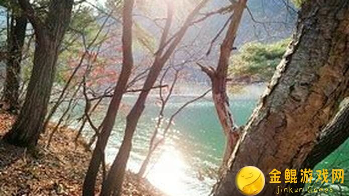 天地劫：幽城再临萌新必备攻略