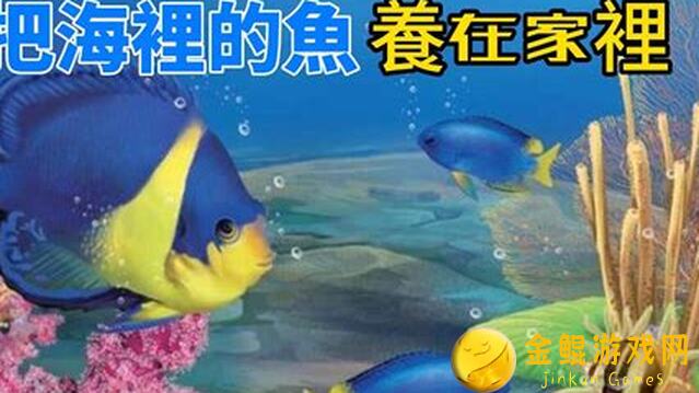 在哪轻松入门重生之我在水上集市养鱼新手必备攻略